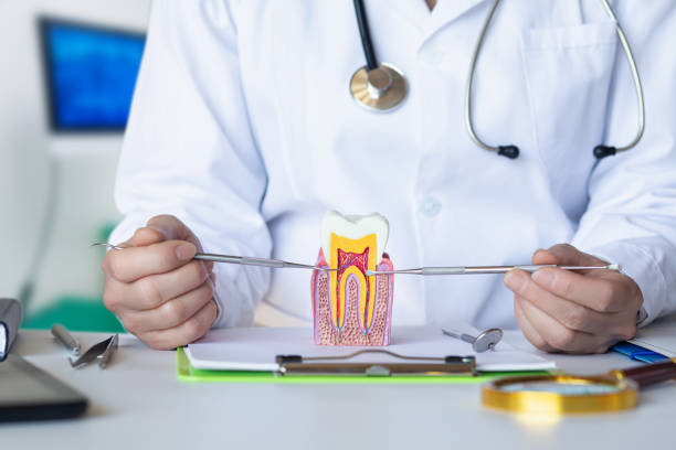 Best Emergency Cosmetic Dentistry (e.g., broken veneers) in Cornwells Heights, PA